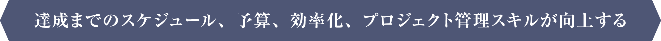 達成までのスケジュール、予算、効率化、プロジェクト管理スキルが向上する