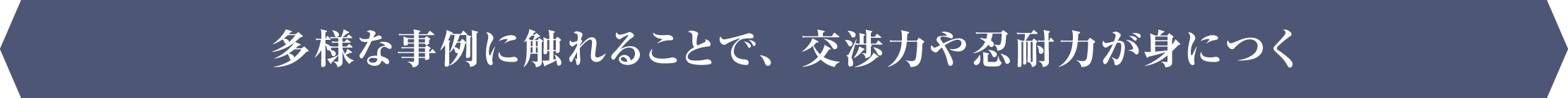 多様な事例に触れることで、交渉力や忍耐力が身につく